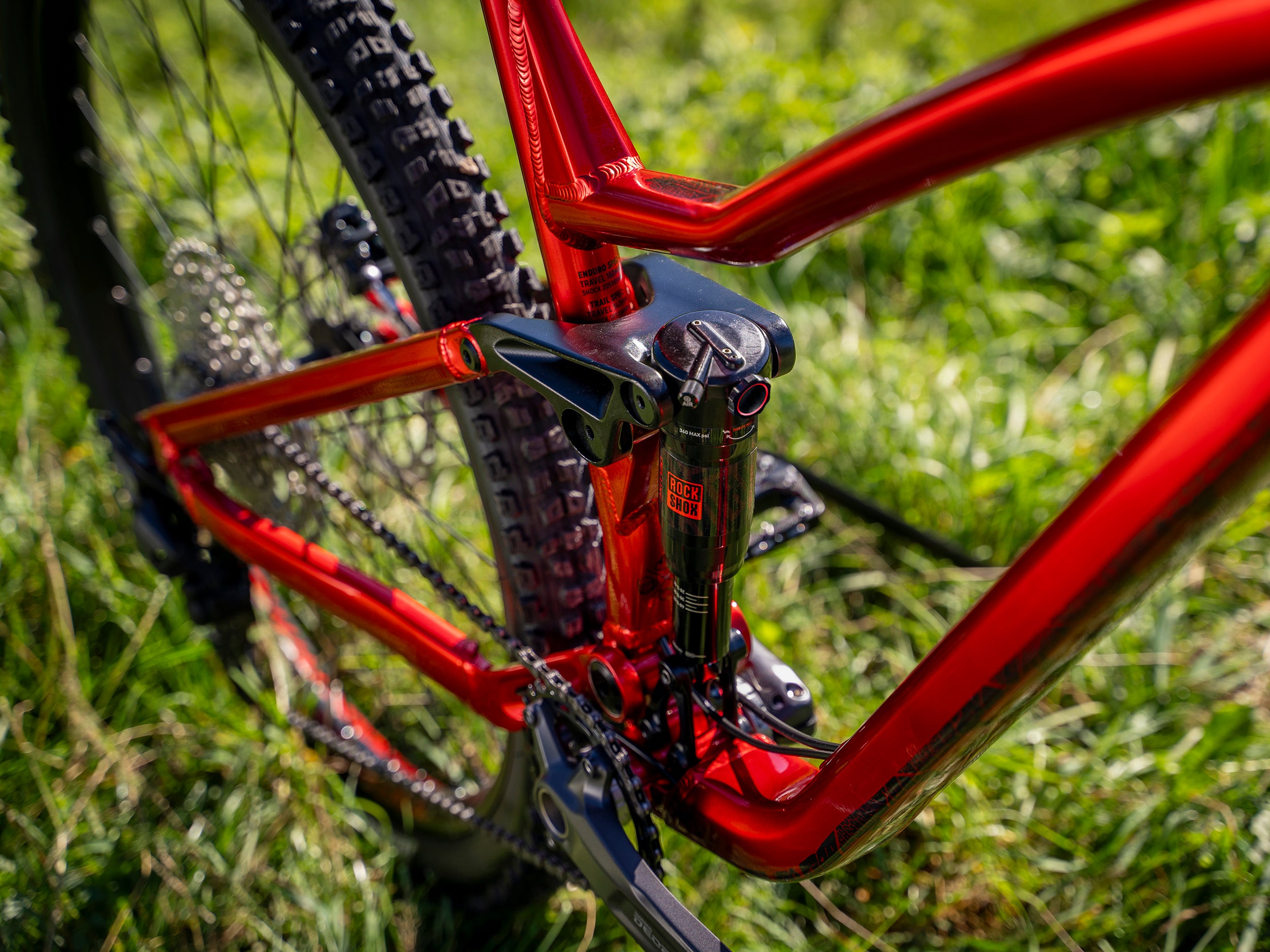 DARTMOOR ROCBIRD FRAMES 29